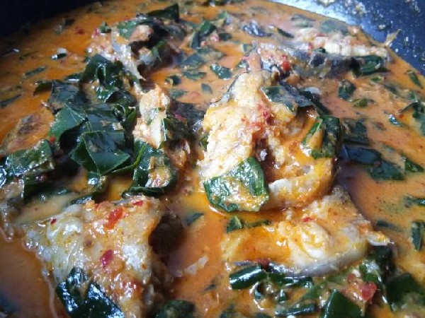 แกงคั่วใบยอปลาดุก